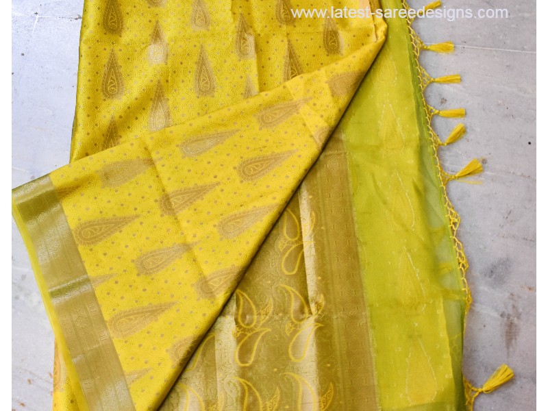 Organdy tissue saree